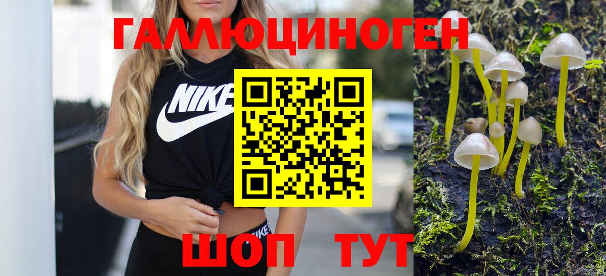 Псилоцибиновые грибы прущие грибы Ульяновск
